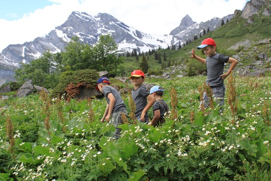 Kinder in einer Bergwiese